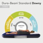 Intex Queen Dura-Beam Plush Top Air Mattress