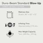 Queen Size Intex Dura-Beam Pillow Rest Air Mattress