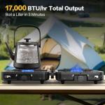 Portable 2-Burner Propane Camp Stove with Carry Bag