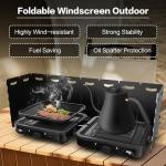 Portable 2-Burner Propane Camp Stove with Carry Bag