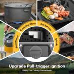 Portable 2-Burner Propane Camp Stove with Carry Bag