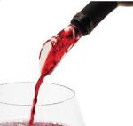 Mini Red Wine Decanter with Aerator and Filter