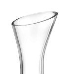 Hand Blown Wine Decanter and Aerator Gift