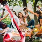 Wine Aerator and Drip Stopper Pouring Spout