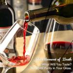 Wine Glass Cleaner for Sparkling Results - 16.91 Oz