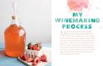 Wild Winemaking: Fun Recipes for Every Enthusiast