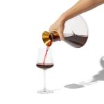 RBT Premium Wine Decanter with Strainer and Aerator