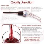 Vintorio Wine Aerator Pourer - Premium Aerating Pourer and Decanter Spout (Silver)