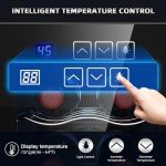 Mojgar 6-Bottle Thermoelectric Wine Cooler Fridge