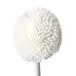 3-Piece Decanter Cleaner Set for Wine Bottles