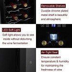 12-Bottle Compact Compressor Wine Cooler Fridge