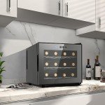 Mini Dual Chip Wine Cooler for 12 Bottles
