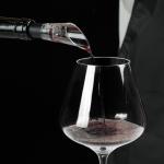 Wine Aerator Pourer Set - Enhance Flavor Immediately