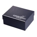 Centellino AreaDivino Wine Aerator and Decanter Gift Set