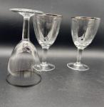 Schott Zwiesel Neckar Platinum Trim Glass Set of 4