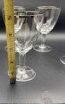 Schott Zwiesel Neckar Platinum Trim Glass Set of 4