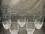 Clear Tall Schott Zwiesel Highball Glasses - Set of 5