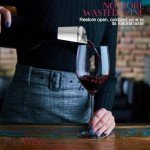 Phoenix Wine Purifier: Remove Histamines and Sulfites