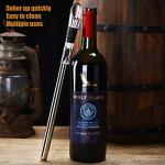 Stainless Steel 3-in-1 Wine Cooler and Pourer
