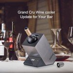 Portable Electric Wine Cooler and Chiller