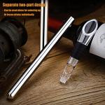 Stainless Steel 3-in-1 Wine Cooler and Pourer