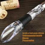 Stainless Steel 3-in-1 Wine Cooler and Pourer