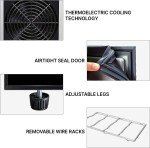 6-Bottle Thermoelectric Wine Cooler - Black