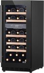 Dual Zone Wine Cooler with Electronic Control