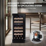 Dual Zone Wine Cooler with Electronic Control