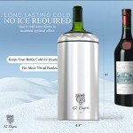 Stainless Steel Wine Chiller Set with Accessories