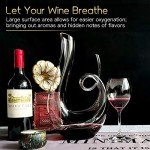 Swan-Shaped Hand Blown Red Wine Decanter