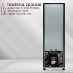 Schmecke Freestanding 12-Bottle Wine Cooler