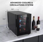 6-Bottle Thermoelectric Wine Cooler Fridge