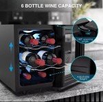 6-Bottle Thermoelectric Wine Cooler Fridge