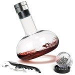 Stylish Wine Decanter Set with Aerator Lid