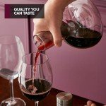 Stylish Wine Decanter Set with Aerator Lid