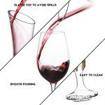 Electric Wine Decanter Set with Aerator & Beads