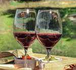 Animal-Themed Wine Glass Markers, Set of 6
