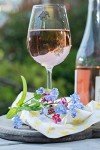 Animal-Themed Wine Glass Markers, Set of 6