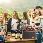 Foyego Insulated Wine Carrier Tote - 2 Pack