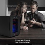 6-Bottle Mini Wine Cooler with Rack