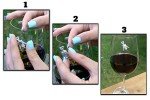 Magnetic Wine Glass Charms Set of 6