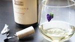 Magnetic Wine Glass Charms Set of 6