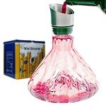 Iceberg Hand Blown Wine Decanter with Aerator