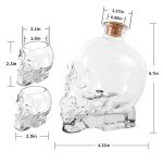 Gothic Skull Decanter Set with Glasses