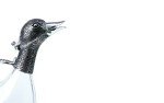 Silverplated Duck Decanter for Red Wine 750ml