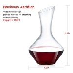 Hand Blown Crystal Wine Decanter for Enthusiasts