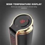 LINKSTYLE 3-in-1 Wine Aerator, Pourer, Vacuum Sealer