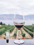 Premium Wine Aerator Decanter Pourer Spout Set