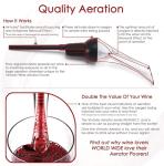 Wine Aerator Pourer and Decanter Spout - Black